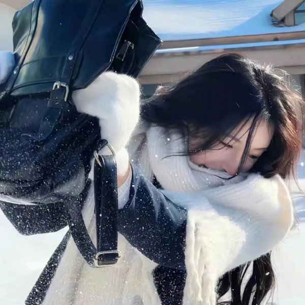 熊男海报