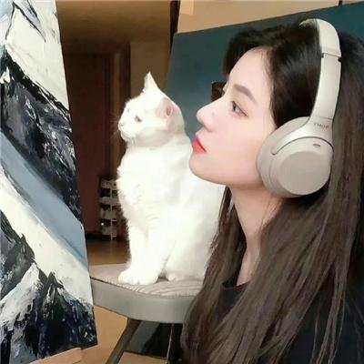 我要【招架】一切海报